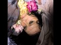 Antony and The Johnsons - Forest of Love