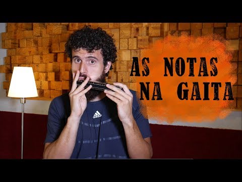 Notes on the Harmonica - Chromatic and Diatonic - Lesson 2