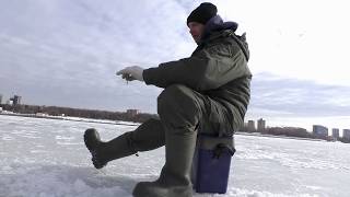 Рыбалка на химкинском водохранилище 2019