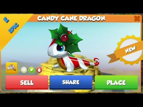 CANDY CANE DRAGON Unlocking + Hatching! Holly Days Event COMPLETE! - DML #706