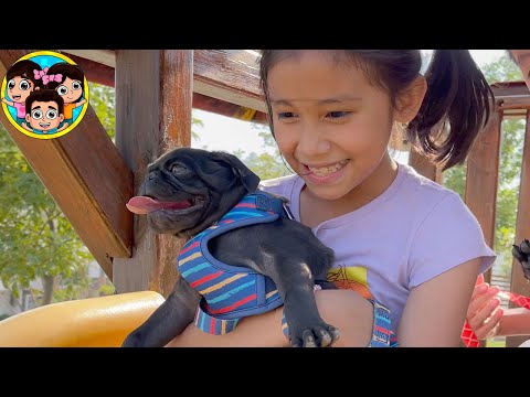 PRIMER PASEO DE LOS PERRITOS | Guzmancitos