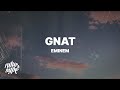 Eminem Gnat Lyrics
