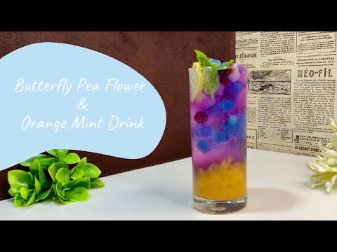 Butterfly Pea Flower | Orange Mint Drink 🦋 🍊
