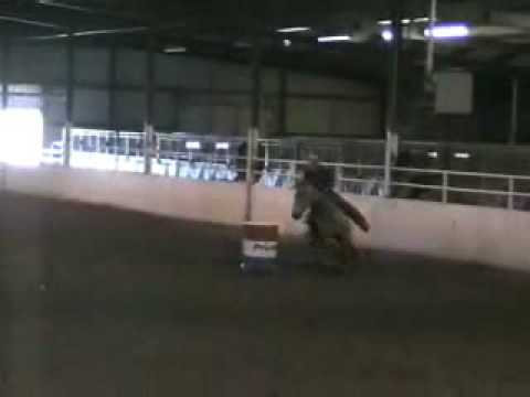 11/16/08 "Ima Treasured Hank"  Purcell Expo