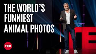 The Award for Best Comedy Wildlife Photo Goes to… | Tom Sullam | TED