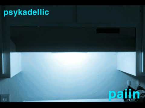 Psykadellic - Paiin (2012)