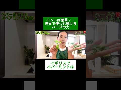 医療ビジネス薬科学科 🌿ミントは薬草？！世界で使われ続けるハーブの力🌿#shorts #ハーブ #体質改善 #ペパーミント #スペアミント
