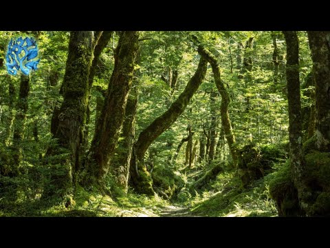 [Free] Brakence x Midwest Emo x Hyperpop Type Beat - "Paranoia"