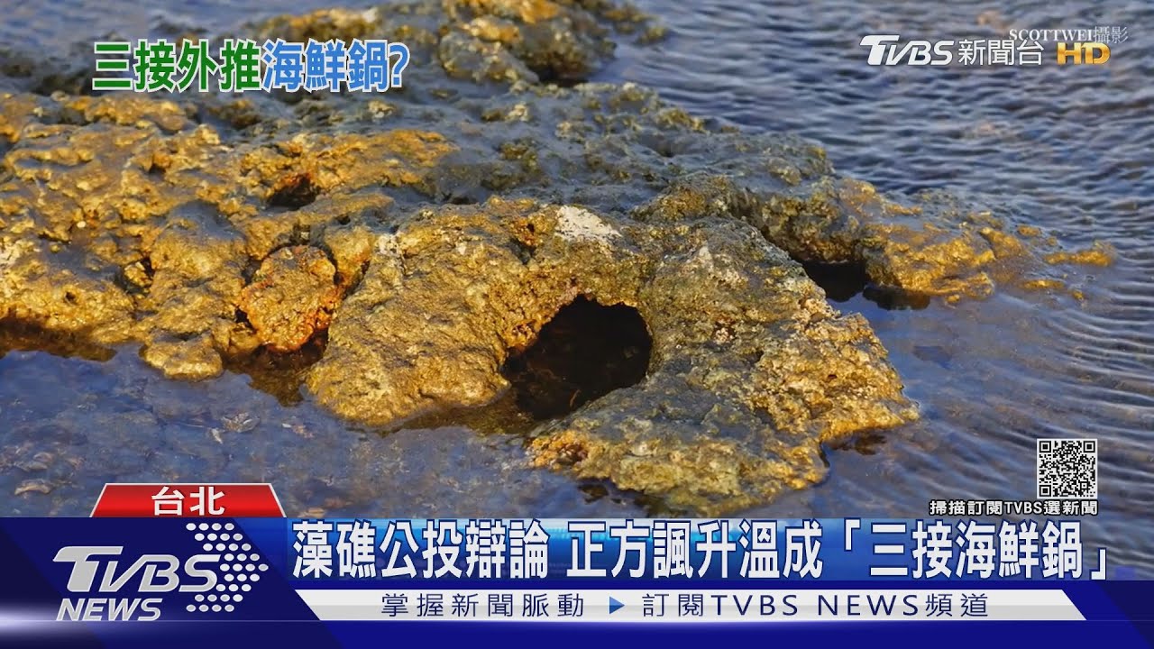 公投倒數拆彈! 總統將親訪大潭藻礁