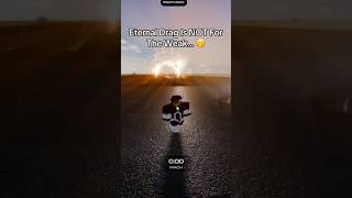 You MUST Be Fast For This Race ! 😳 #roblox #flashpoint