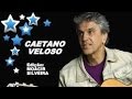 FELICIDADE com CAETANO VELOSO, edição MOACIR SILVEIRA