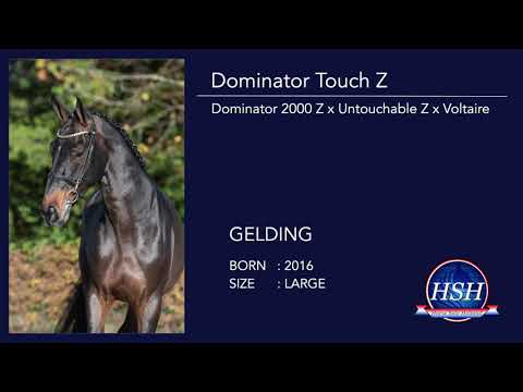 2020 | Dominator Touch Z
