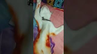 My Cat Tinku is so Lazy #bilay #cat #tinkucat