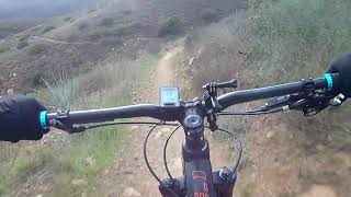 Backbone Trail downhill (Sycamore Canyon).