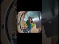 Ring Doorbell Captures Man S Cat Named Biscuit Flying Away Into Tornado Ai Soraai