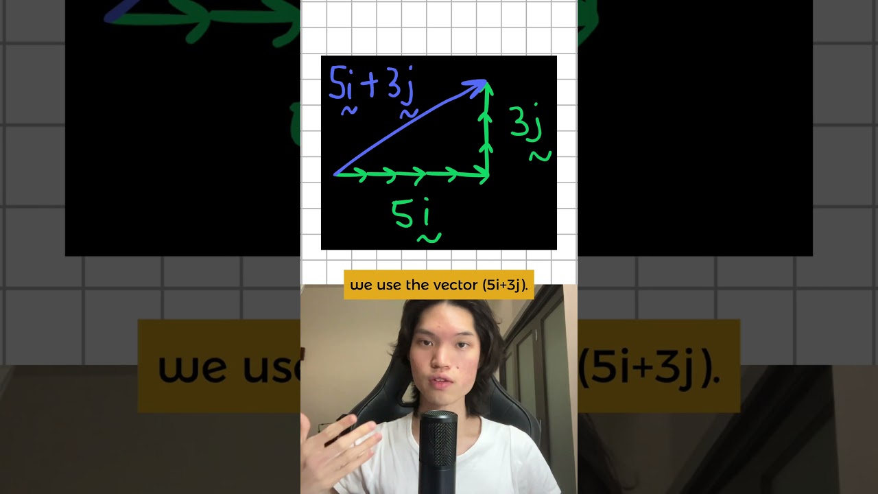 A quick explanation to understand Vectors. #igcse #study #maths #vectors #mathtips