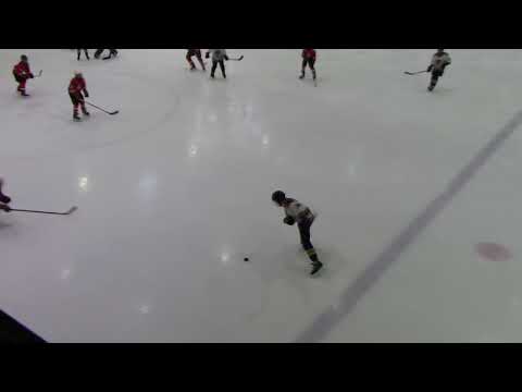 Vipers 10   0  - 18 Narva PSK 09