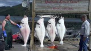 preview picture of video '215 Lbs Halibut caught at Qualicum Rivers Winter Harbour Resort & Lodge'