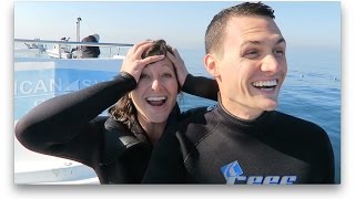 CAGE DIVING WITH GREAT WHITE SHARKS - YouTube