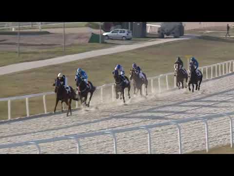 2018.11.18. 06. futam - AMATŐRVERSENY HENDIKEP (V.o.) (szintetikus pálya)