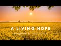 A Living Hope | Scripture & Inspiration | Andrew Murray