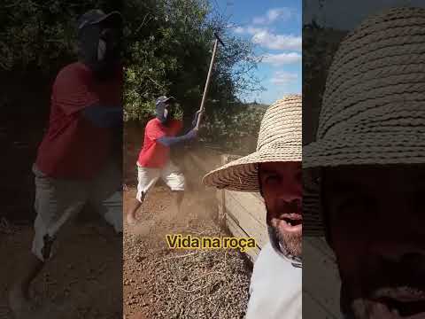 fazenda Diniz besouro de são Gabriel ba