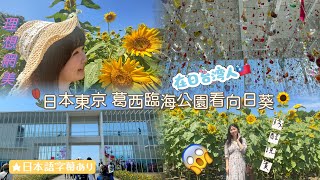 葛西臨海公園｜蜷川実花藝術品｜向日葵🌻｜東京車站相模屋麻糬豆皮壽司｜日本に住む台湾人の夏の過ごし方
