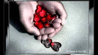 Bobo In White Wooden Houses - beg your heart