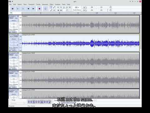 Is using AMR enough to simulate voice calls? With Opus comparison.