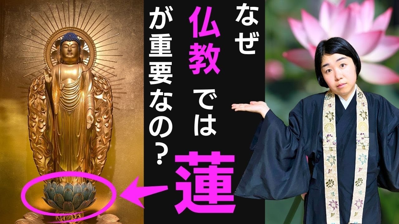 なぜ仏教では蓮が重要なの？【浄土真宗の法話】