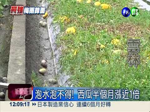 菜價跟著大雨飆! 菜農搶收作物