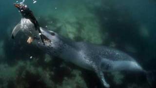 Meat Beat Manifesto, The Herbaliser - Prime Audio Soup