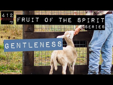 Fruit of the Spirit: Gentleness | 412teens.org