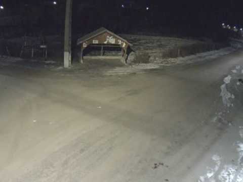 alma vii testare inregistrare