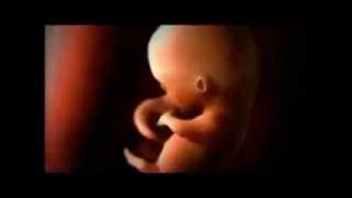The Perfect Creation of God - Footage of Unborn Baby