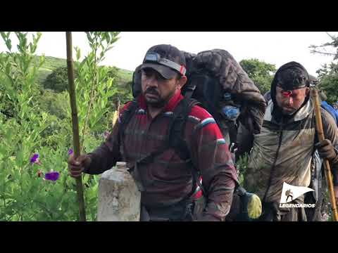 Rec 201 Recap Legendarios Guadalajara