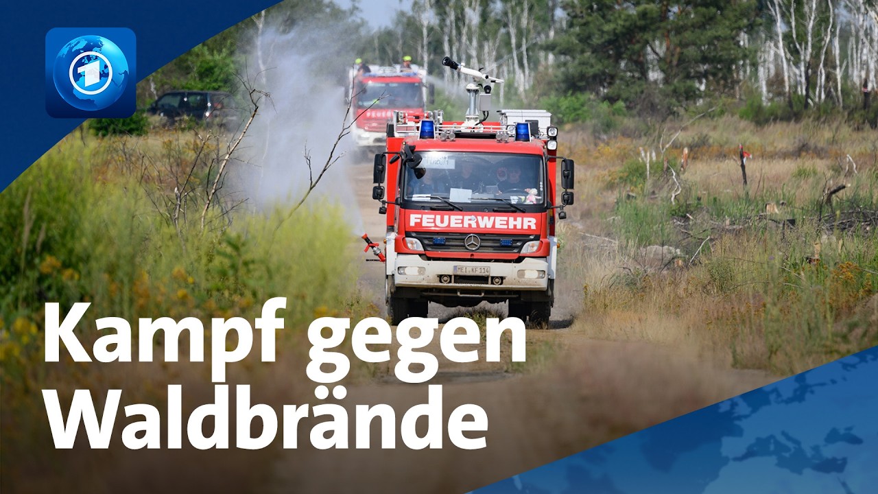 Hitze und Rekordtemperaturen: Kampf gegen Waldbrände – und die Munition im Boden