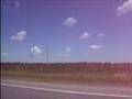 Animal Clouds
