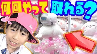 【1万円分】何回で取れるか検証したらビックリな結果に!!プロが教える裏技を使ったら神すぎたwww【クレーンゲーム攻略ぬいぐるみゲット 】UFOキャッチャー【DJらいと】