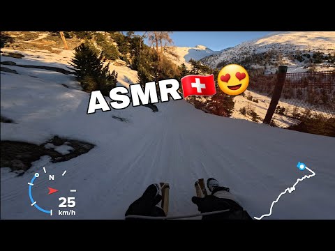 ASMR SLED RUNNING🇨🇭⛰️😍/ MUOTTAS MURAGL
