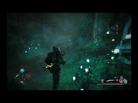 Прохождение Remnant from the Ashes 14 Джунгли (След основателя)