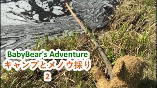 【キャンプとメノウ採り２】BabyBear's Adventure EP2（in Lake Superior)