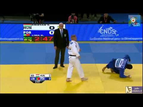Judo 2014 European Championships Montpellier: Kriszan (HUN) - Lima (POR) [-81kg] rep
