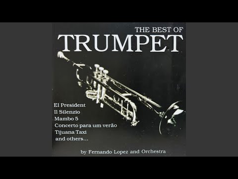 Concerto Para Um Verão