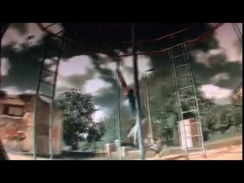 Vertical pole to pole gibbons (Oleg Vorslav) - Russia