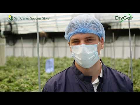 SafriCanna Success Story - DryGair Dehumidification Solution for Greenhouses and Indoor Grow Rooms logo