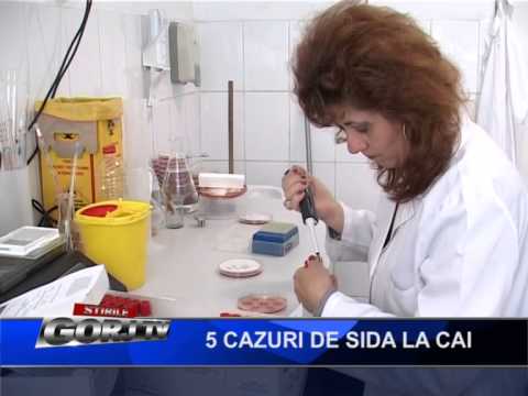 5 cazuri de SIDA la cai