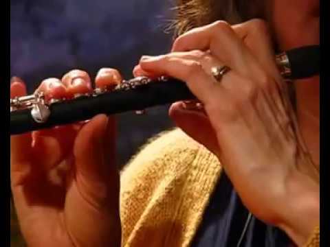 Di Zhao Composite Piccolo DZ 102 (New) - Free Shipping to US and Canada