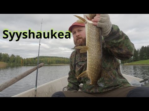 Autumn pike fishing - Lake Päijänne