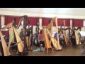 Rhys Whatty Harp - ensemble performance with Catrin Finch Summer Academy
